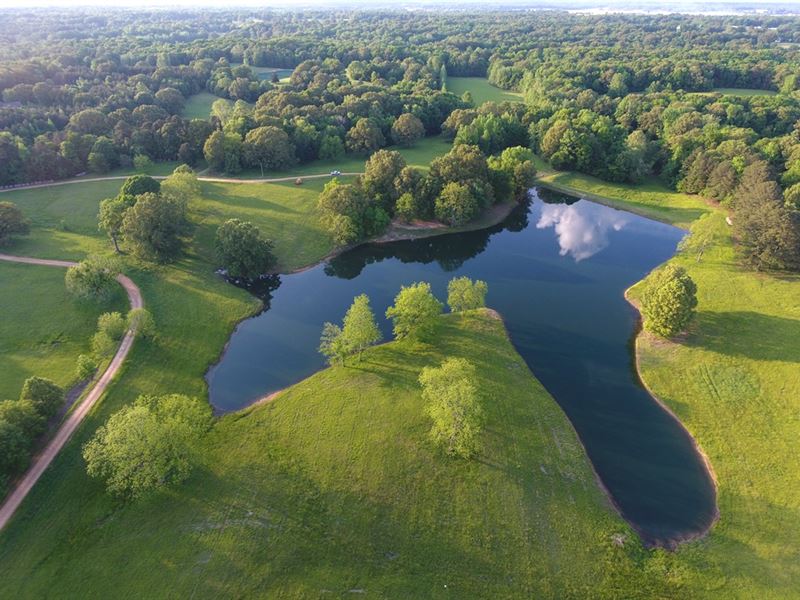 Rolling Pasture Land - 4 Ac. Lake : Land for Sale in ...
