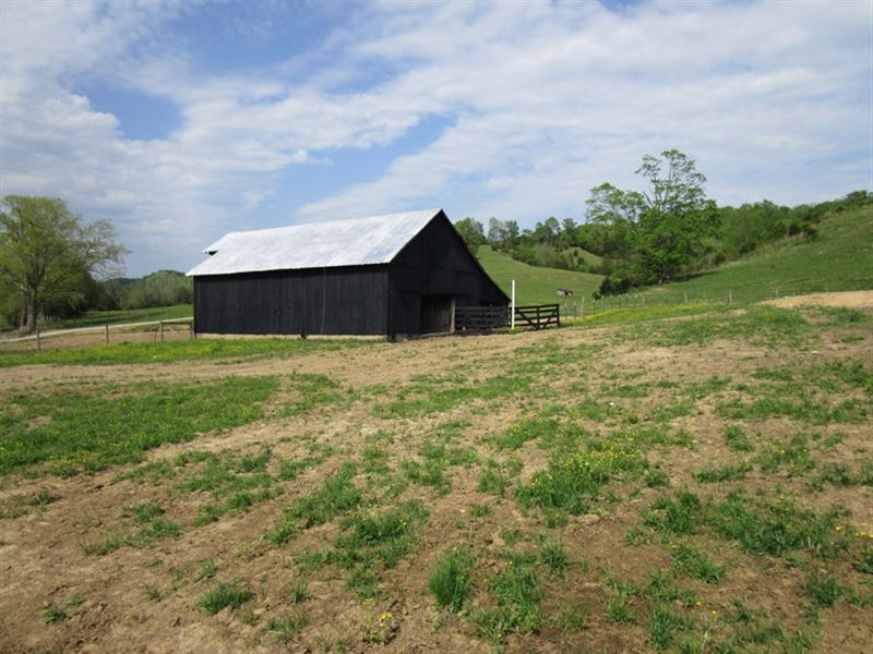 60 Acre Farm in Metcalfe County, Ky : Edmonton : Metcalfe County : Kentucky