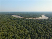 Multiple Altamaha River Access Retr : Baxley : Appling County : Georgia