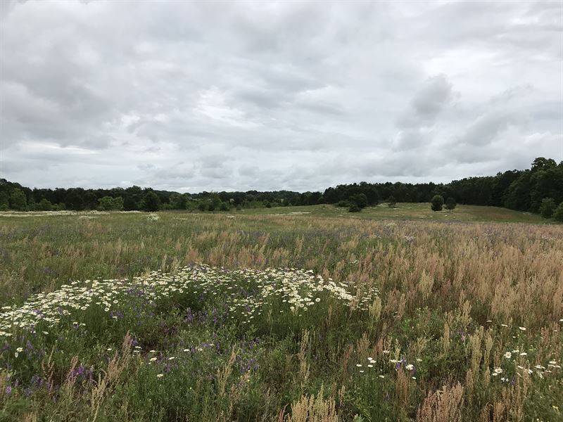 Hog Mountain Farm Land for Sale in Statham, Barrow County,