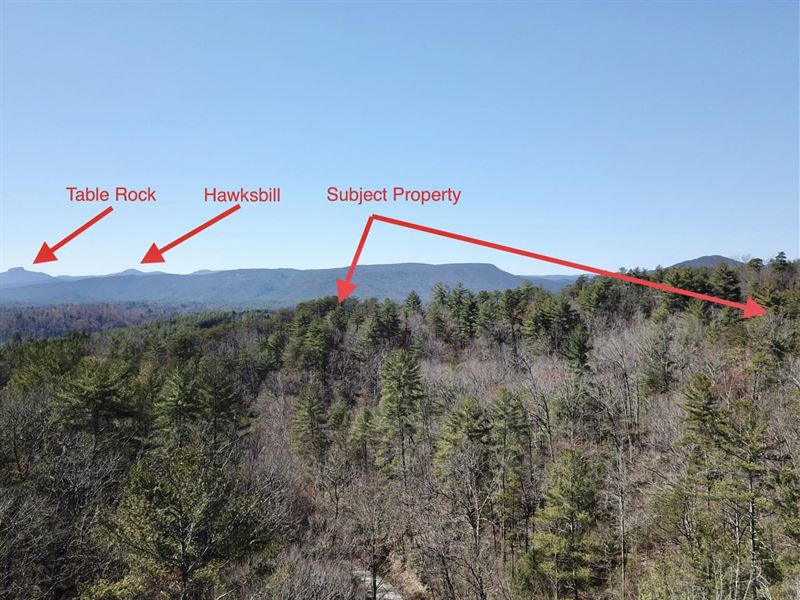 24.66 Acres Off Playmore Beach : Lenoir : Caldwell County : North Carolina
