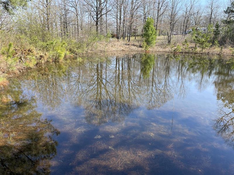 5 Acres, Pond, Cave City, Arkans : Cave City : Sharp County : Arkansas