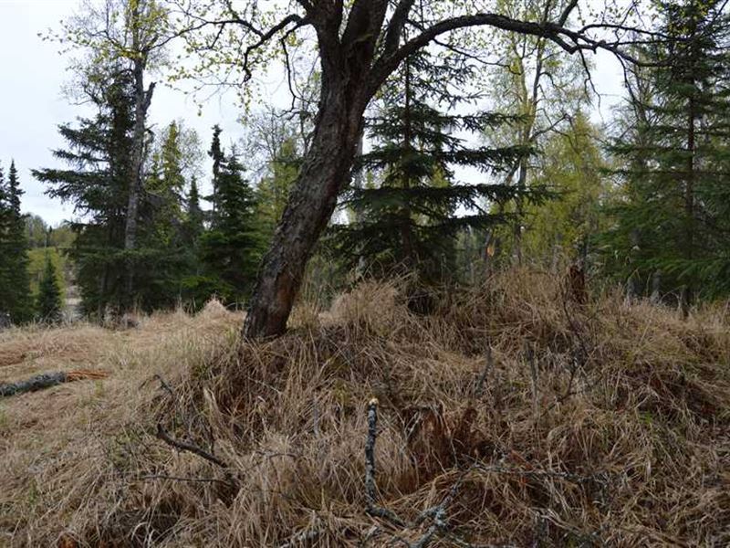 1.12 Acres of Land in Clam Gulch : Clam Gulch : Kenai Peninsula Borough : Alaska