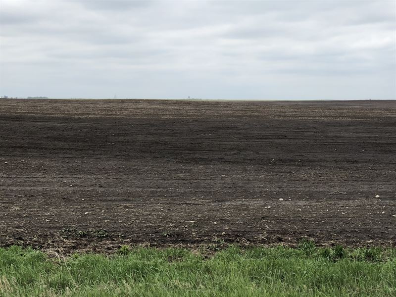 320 Acres Brown County Sd Farm Land : Aberdeen : Brown County : South Dakota