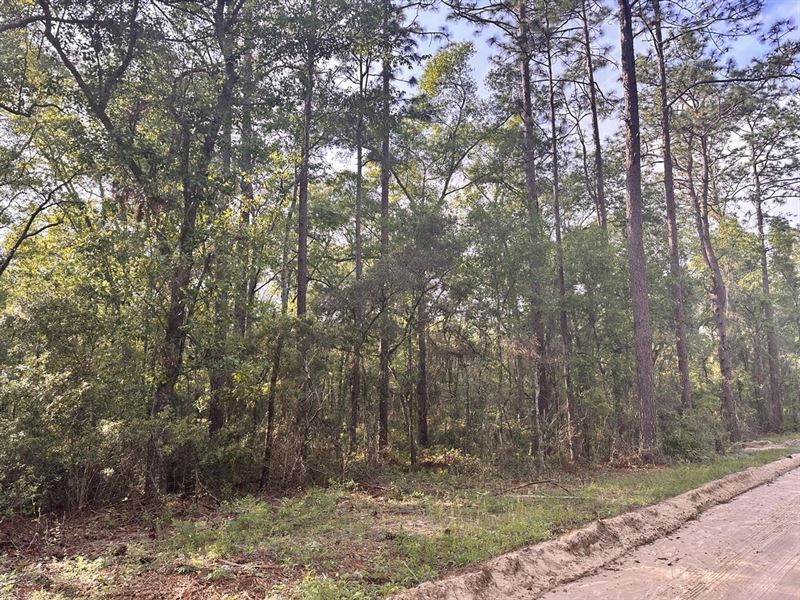NW 45th Street : Jasper : Hamilton County : Florida