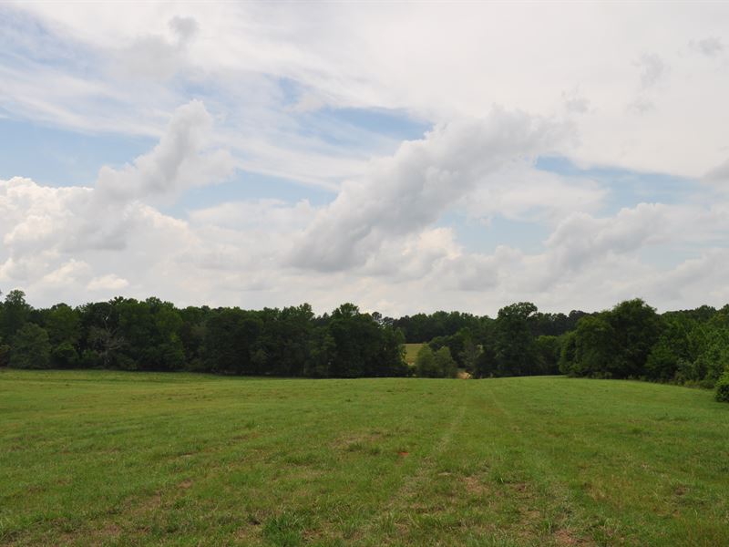 Long Meadow Tract-A : Greensboro : Greene County : Georgia