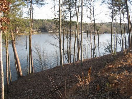 Taylors Ferry Bankhead Lake Lot 7 : Quinton : Walker County : Alabama