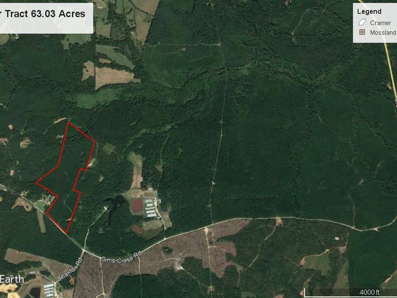 Timber & Hunting : Maxeys : Oglethorpe County : Georgia