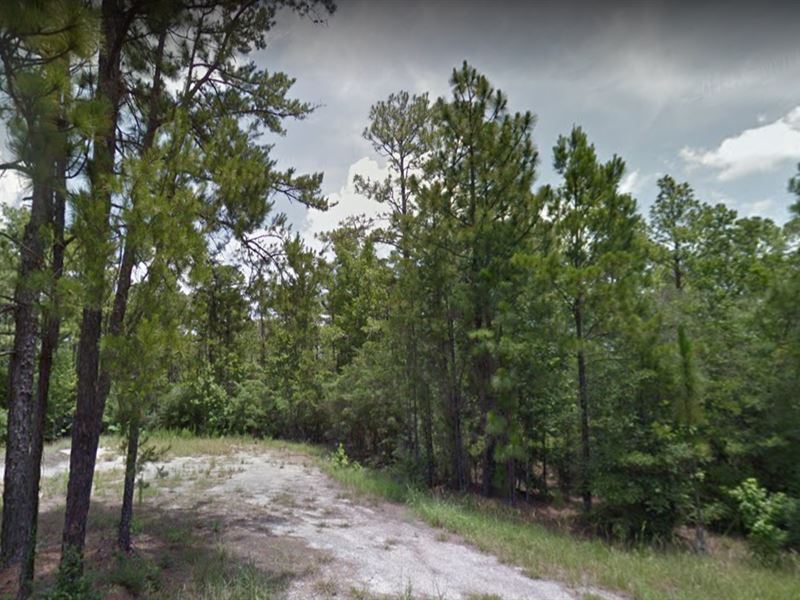 .19 Acres in Brookeland, TX : Brookeland : Jasper County : Texas