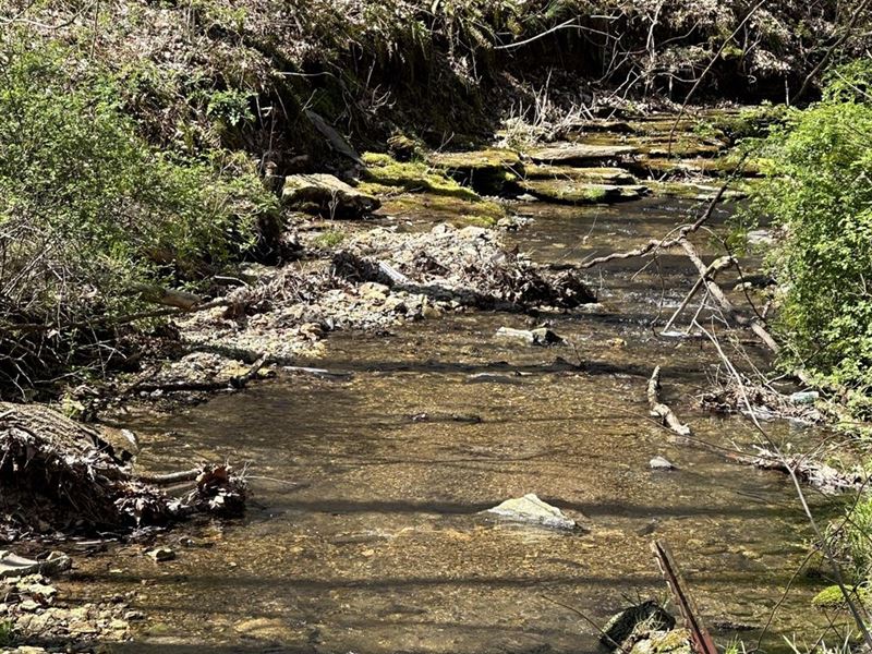 13.26 Hunting/Recreational Property : Lafayette : Macon County : Tennessee