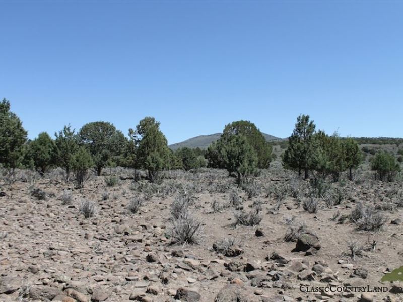 Beautiful Ravendale Ranch 57 Land for Sale by Owner in Ravendale