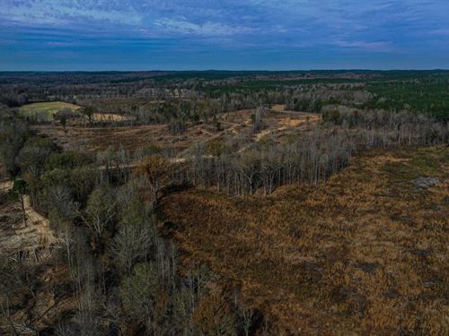 Webster County 125.59 Acres : Eupora : Webster County : Mississippi