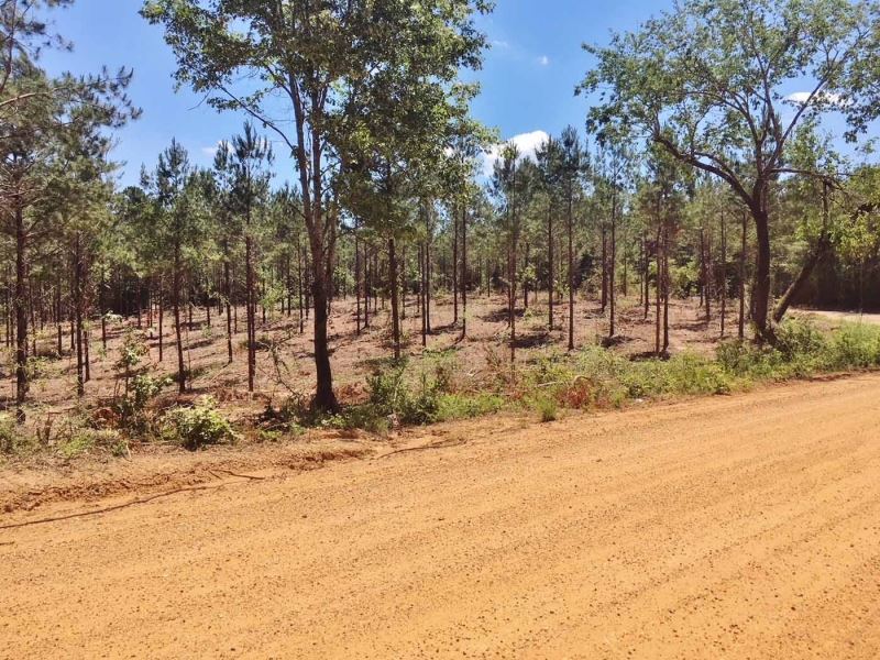 homes with acreage for sale in harrison county ms