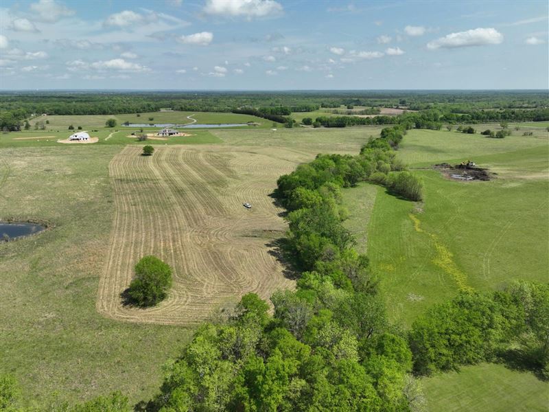 17 Acres Mathews Road, Meadowbrook : Pike Road : Montgomery County : Alabama