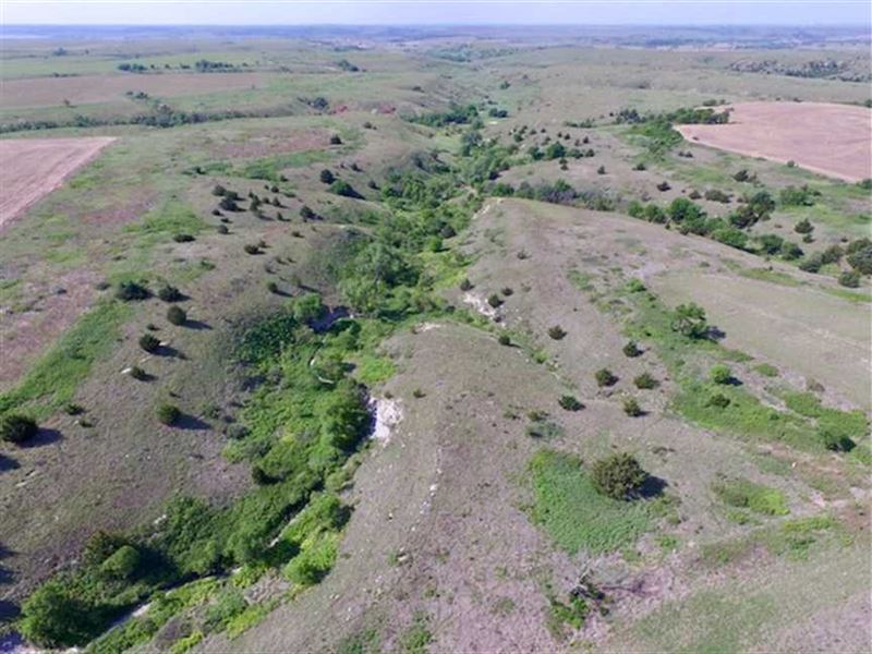 80 Acres of Grassland, Crp, And : Luray : Russell County : Kansas