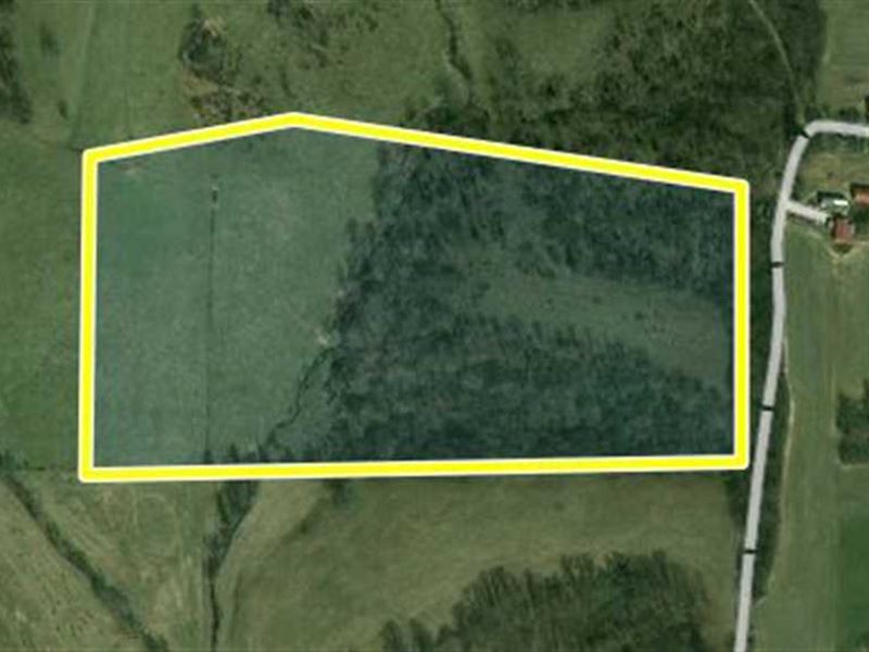 40 Acres Perfect for Hunting, Buil : Perryville : Bollinger County : Missouri
