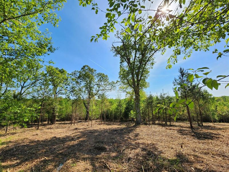 16 Acres Off Robinson Yelton Roa : Clover : York County : South Carolina