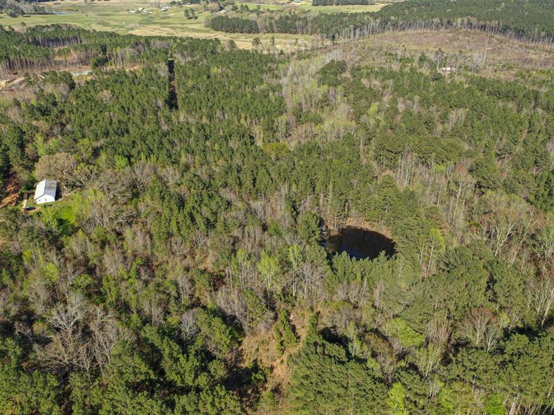 34 Acres Southeast Attala County : Kosciusko : Attala County : Mississippi