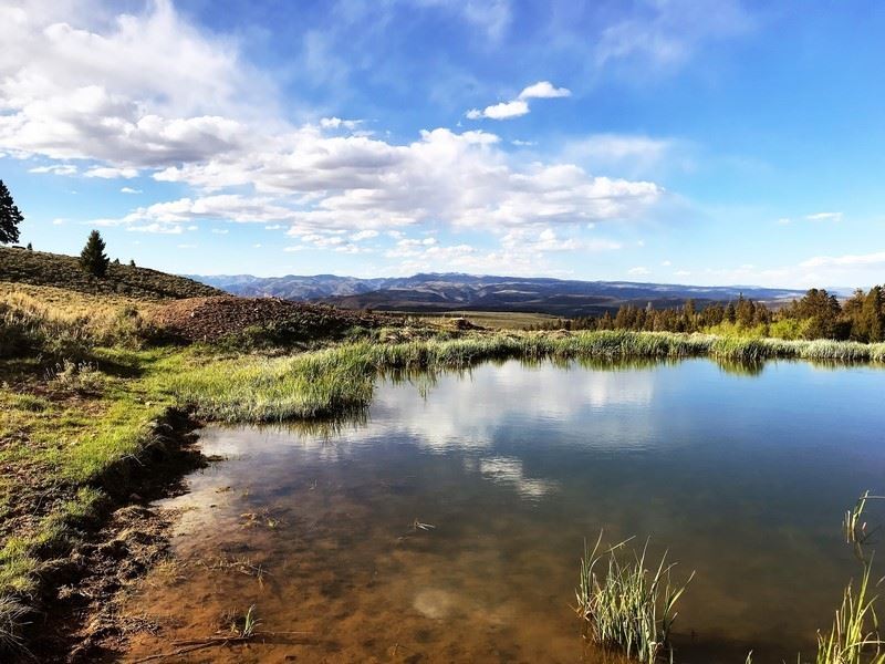 Triple R Ranch : Powderhorn : Gunnison County : Colorado