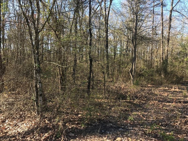 Higden Residential Lot : Higden : Cleburne County : Arkansas
