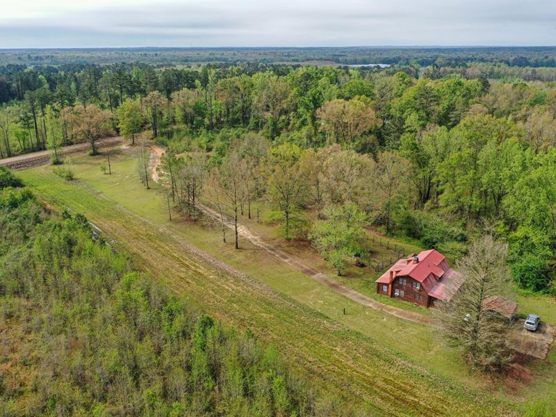 19 Acre Homeplace with Log Cabin : Preston : Neshoba County : Mississippi