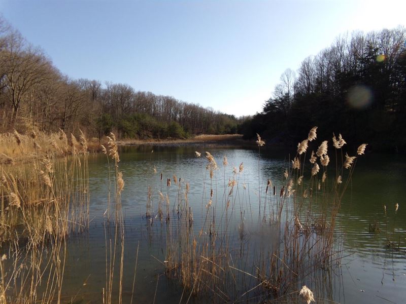 Staunton Vacant Land Lot 4 : Brazil : Clay County : Indiana
