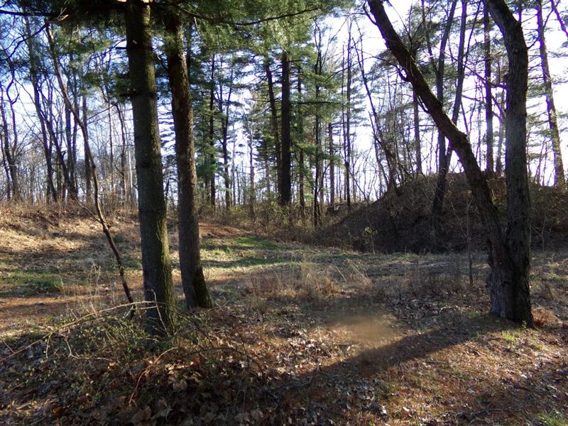 Staunton Vacant Land Lot 8 : Brazil : Clay County : Indiana