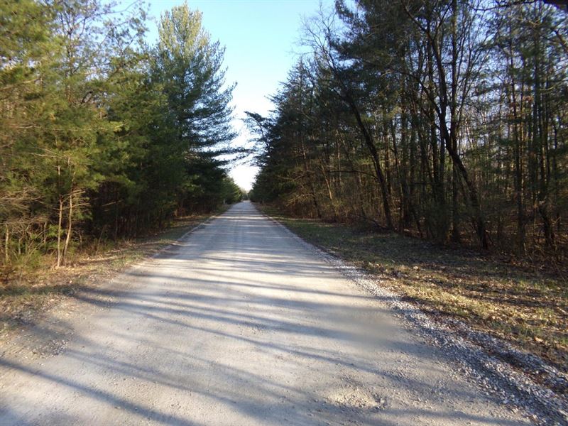Staunton Vacant Land Lot 9 : Brazil : Clay County : Indiana