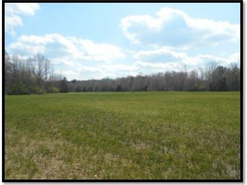 80 Acres in Panola County : Batesville : Panola County : Mississippi