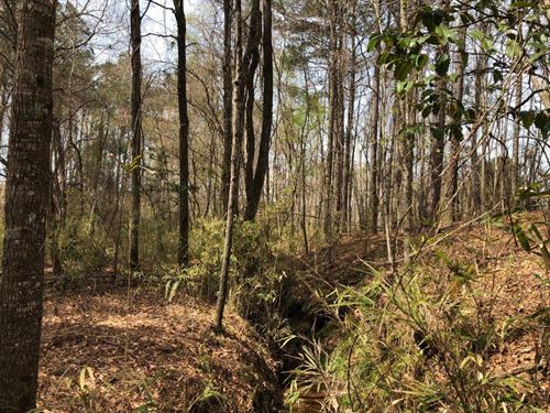 Powelton Tract : Sparta : Hancock County : Georgia