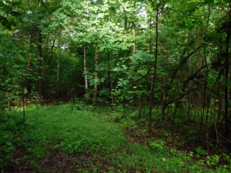 19.50Ac Ideal for A Develpoment : Cookeville : Putnam County : Tennessee