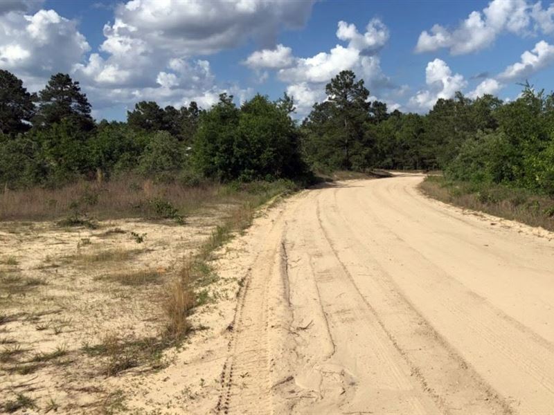 Marlboro County Sc Acreage : Bennettsville : Marlboro County : South Carolina