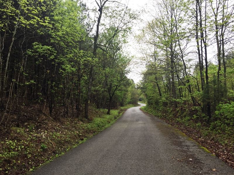 Big Sewee Road West Tract : Decatur : Meigs County : Tennessee