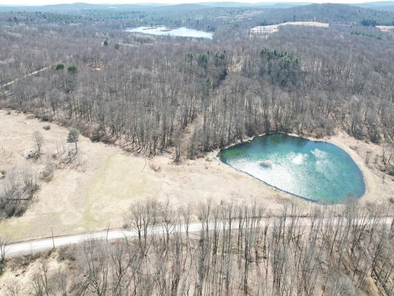 Wayne County, Hellmers Rd, 33 Acr : Equinunk : Wayne County : Pennsylvania