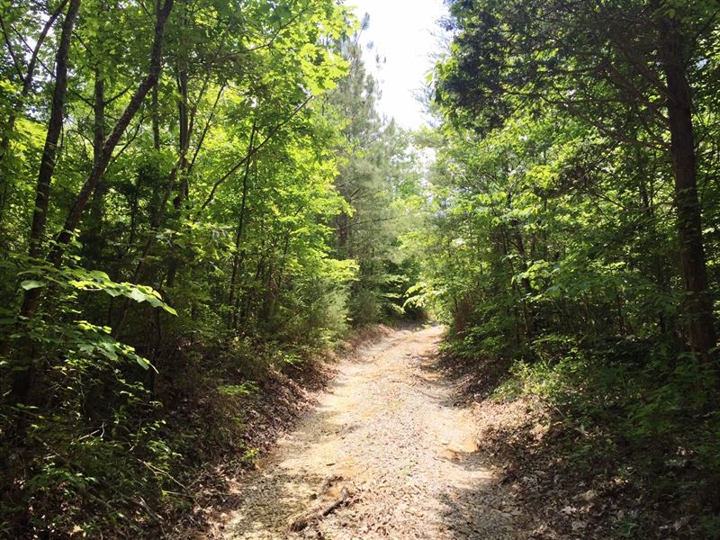 Sewee Creek North Tract : Decatur : Meigs County : Tennessee