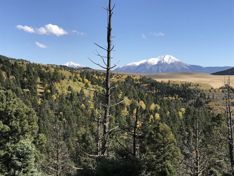 Forbes Wagon Creek Ranch - Lot 452 : Fort Garland : Costilla County : Colorado