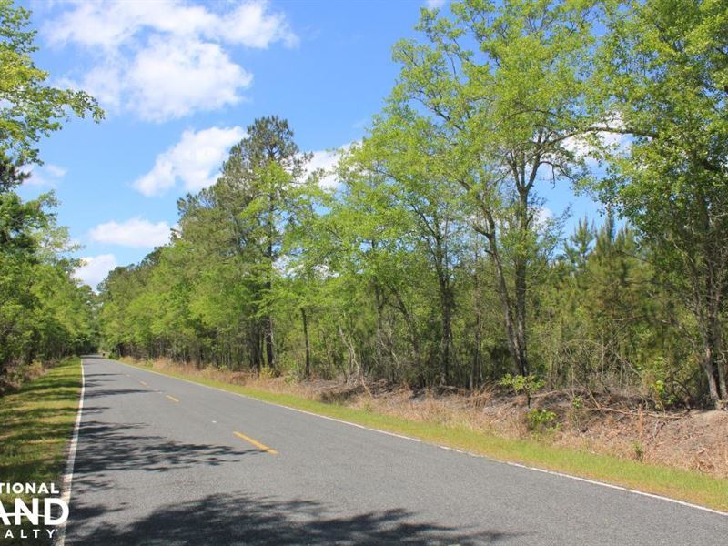 Lebanon Area 9 Acres : Summerville : Berkeley County : South Carolina