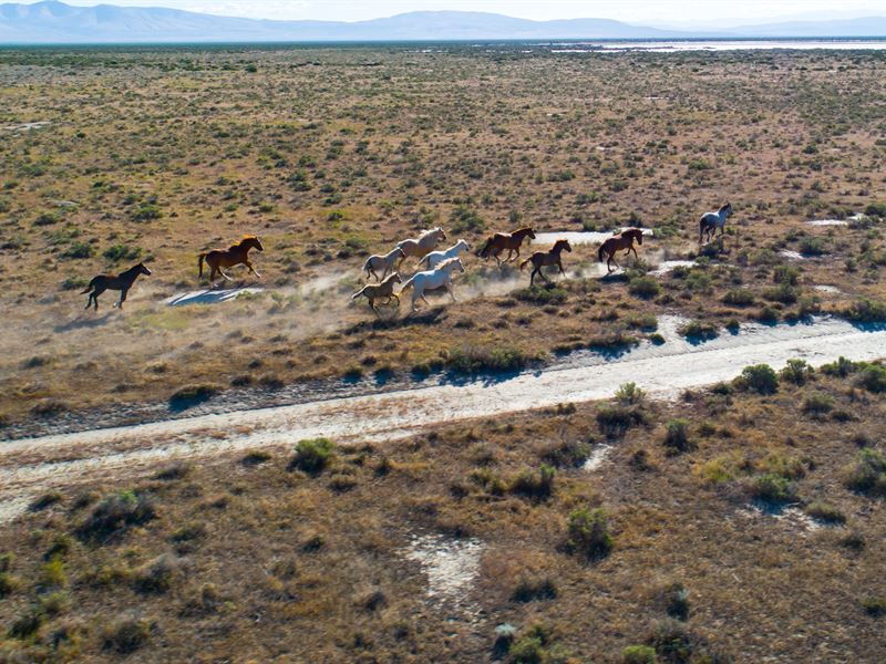 160 Acre Blm Mecca : Herlong : Lassen County : California