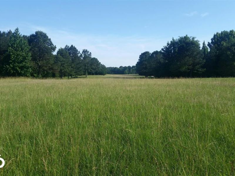 Acreage and Pasture Close to Oxford : Oxford : Lafayette County : Mississippi