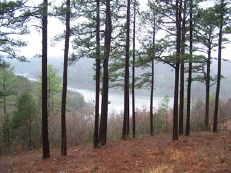 Bull Shoals Lake Frontage for Sale : Yellville : Marion County : Arkansas