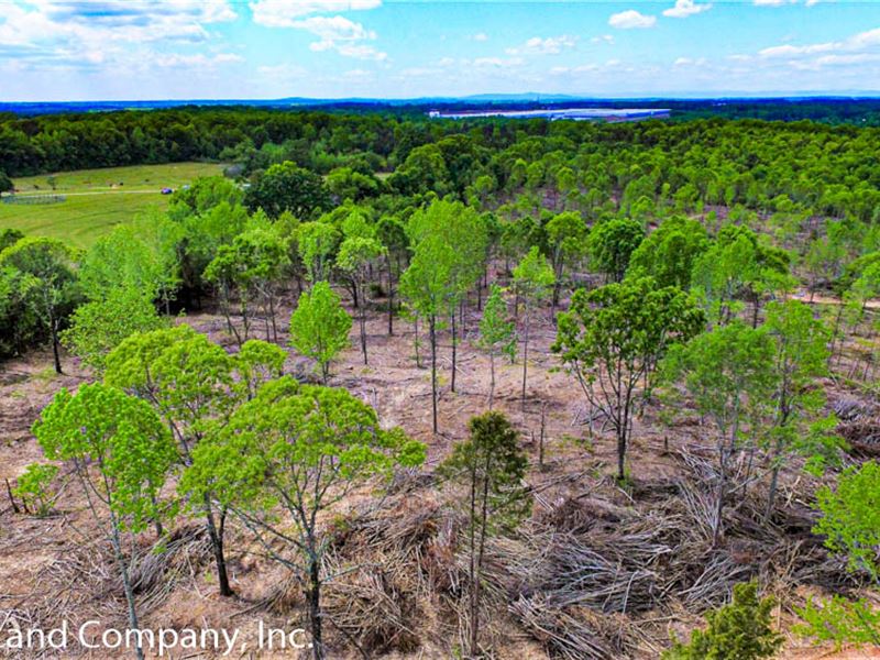 Prime 47 Acre Development Tract : Woodruff : Spartanburg County : South Carolina