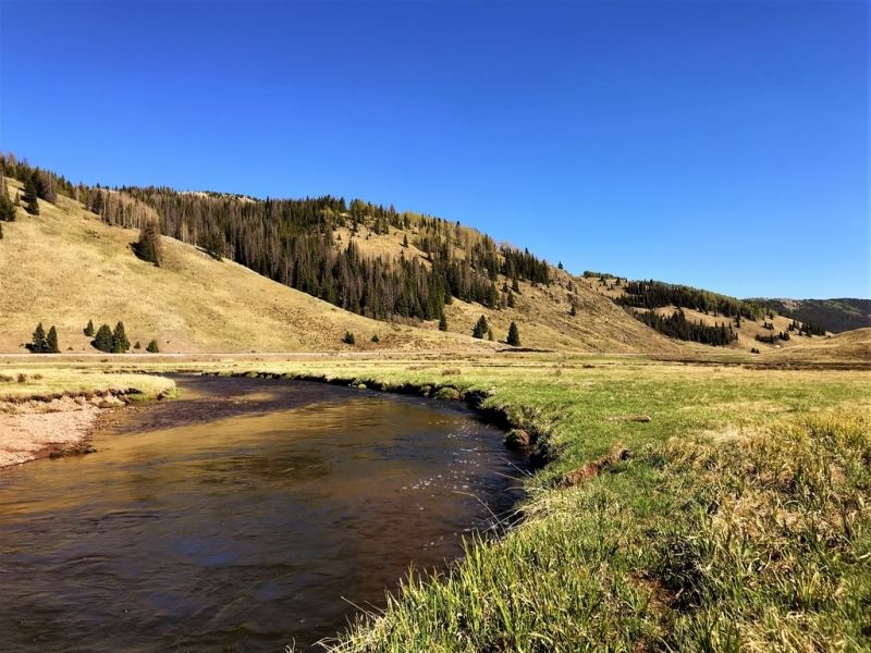 Rio DE Los Pinos Ranch : Mogote : Conejos County : Colorado
