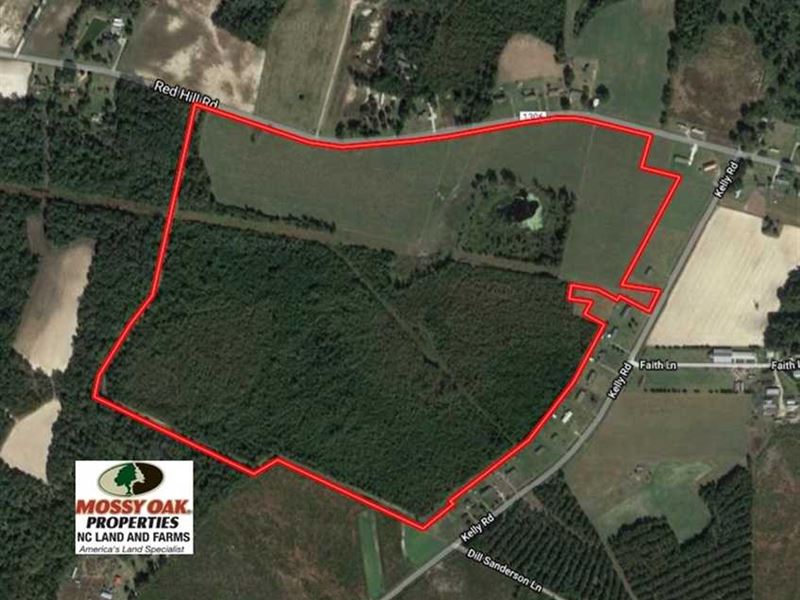 Reduced, 137 Acres of Hunting And : Glisson : Duplin County : North Carolina
