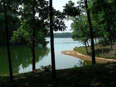 Lake Secession Lots : Iva : Abbeville County : South Carolina