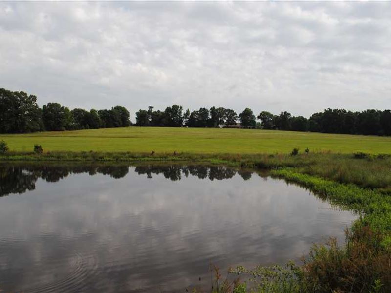 Just Listed, 43.76 Acres Off of Hw : Beebe : White County : Arkansas