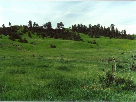 Rb-55 Game, Building Sites, Power : Mosby : Petroleum County : Montana