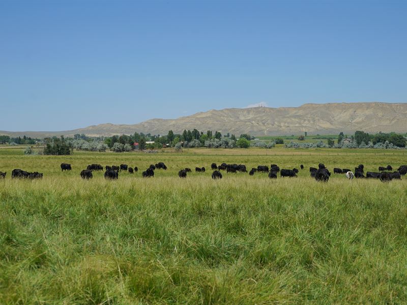 Tweed Lane 40 : Lander : Fremont County : Wyoming