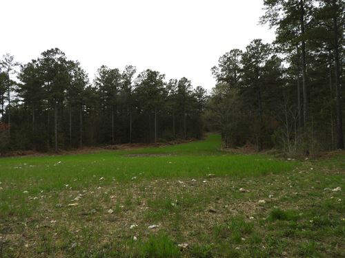 Bunch Mountain : Adairsville : Bartow County : Georgia