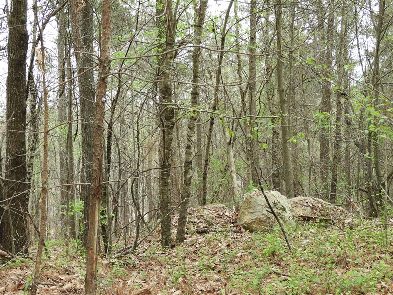 Woody Road West : Adairsville : Gordon County : Georgia