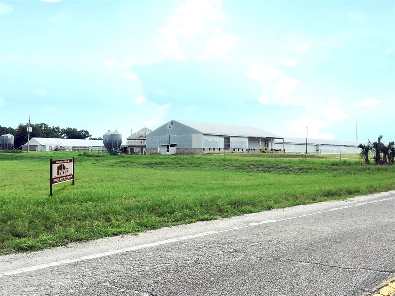 Poultry Farm + Land + Plant House : Zephyrhills : Pasco County : Florida